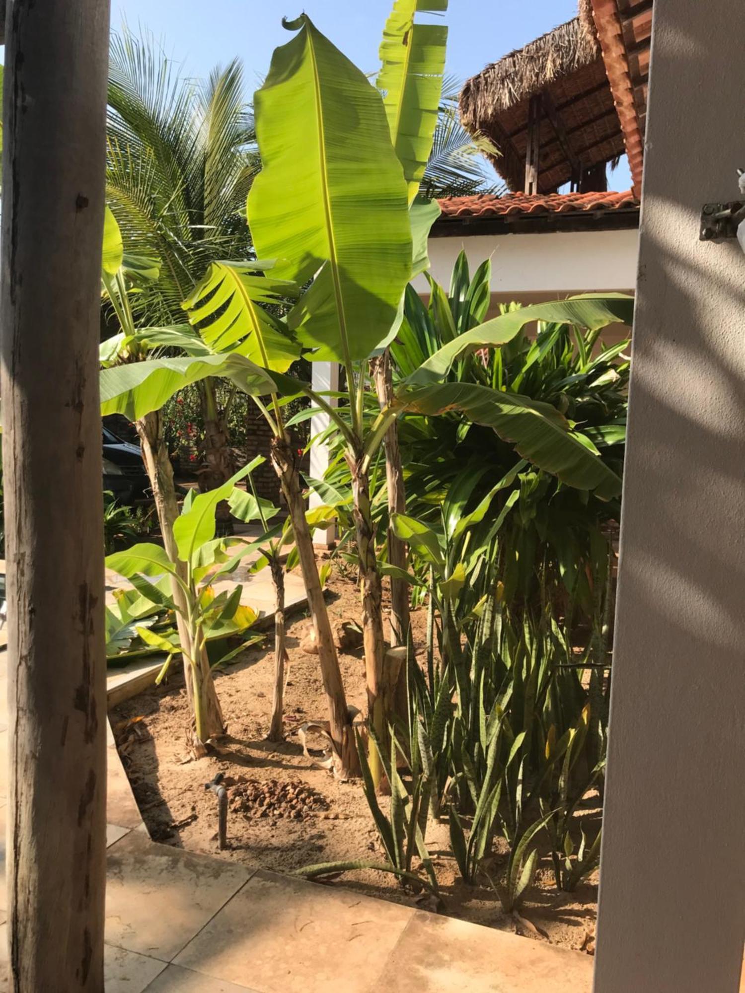 Casa Belamar Sao Miguel do Gostoso Ngoại thất bức ảnh